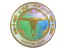 Austin 2025 Diamond Coin