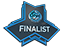 Finalist at ESL One Katowice 2015