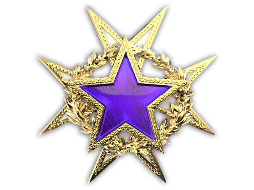 2015 Service Medal Tier 2
