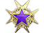 2015 Service Medal Tier 2
