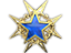 2015 Service Medal Tier 1