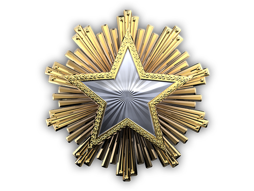 2016 Service Medal Tier 1