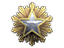 2016 Service Medal Tier 1