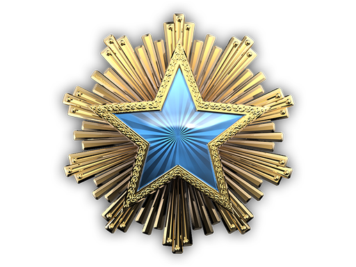 2016 Service Medal Tier 2