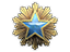 2016 Service Medal Tier 2