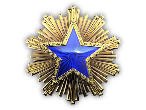 2016 Service Medal Tier 3