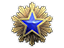 2016 Service Medal Tier 3