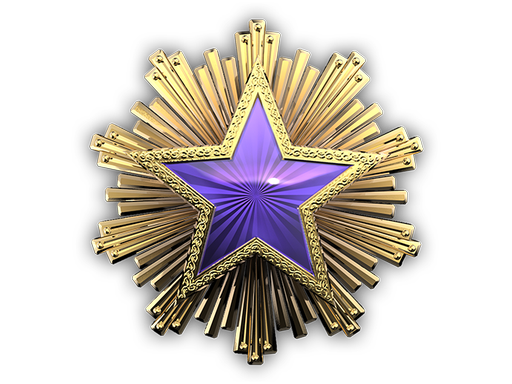 2016 Service Medal Tier 4