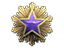 2016 Service Medal Tier 4