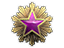 2016 Service Medal Tier 5