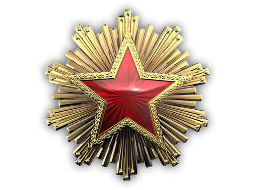 2016 Service Medal Tier 6
