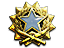 2017 Service Medal Tier 1