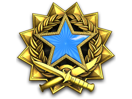 2017 Service Medal Tier 2