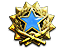 2017 Service Medal Tier 2