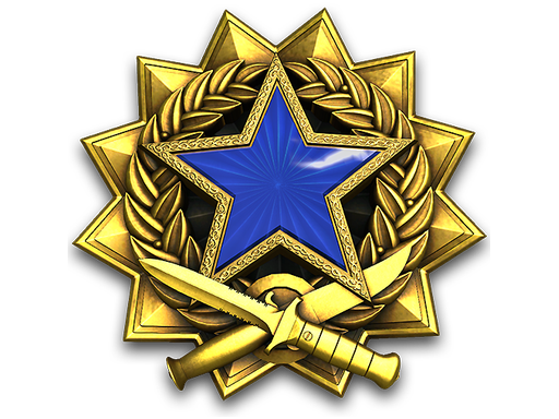 2017 Service Medal Tier 3