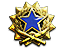 2017 Service Medal Tier 3