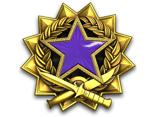 2017 Service Medal Tier 4