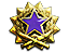 2017 Service Medal Tier 4