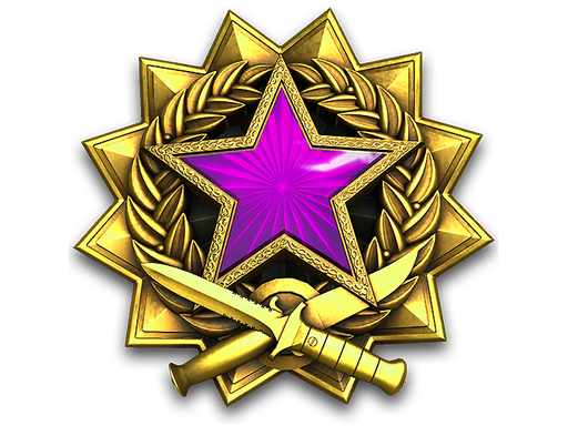 2017 Service Medal Tier 5