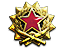 2017 Service Medal Tier 6