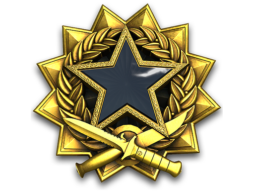 2017 Service Medal Tier 7