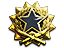 2017 Service Medal Tier 7