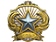 2018 Service Medal Tier 1