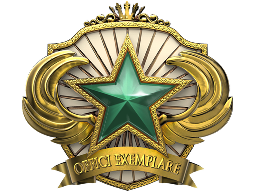 2018 Service Medal Tier 2