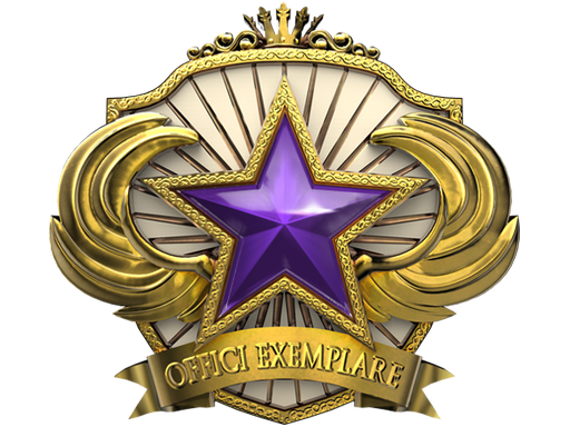2018 Service Medal Tier 4