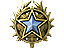 2020 Service Medal Tier 1