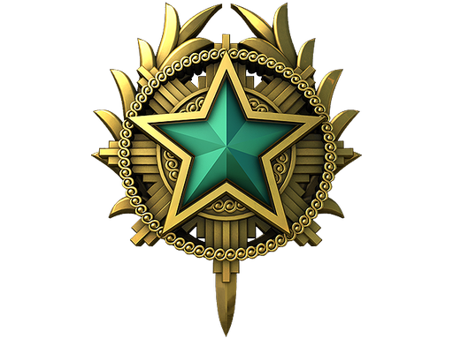 2020 Service Medal Tier 2