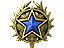 2020 Service Medal Tier 3