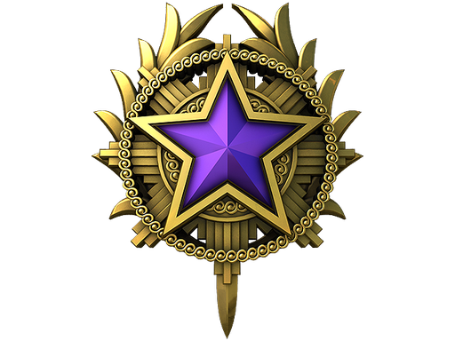 2020 Service Medal Tier 4