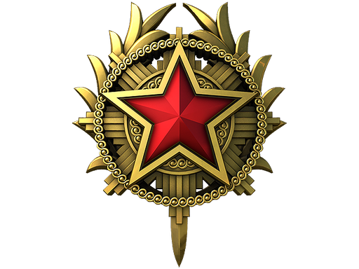 2020 Service Medal Tier 6