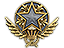 2021 Service Medal Tier 1