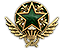 2021 Service Medal Tier 2