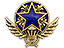 2021 Service Medal Tier 3