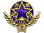 2021 Service Medal Tier 4