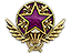 2021 Service Medal Tier 5