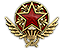 2021 Service Medal Tier 6