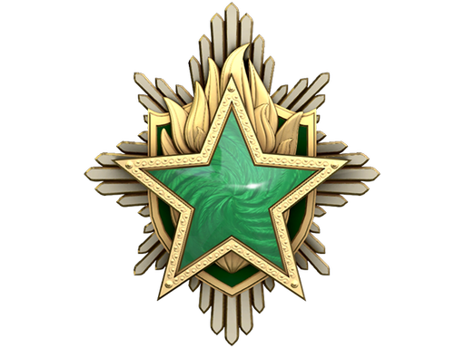 2023 Service Medal Tier 2