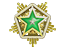 2024 Service Medal Tier 2
