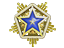 2024 Service Medal Tier 3