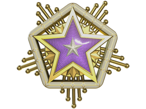 2024 Service Medal Tier 4