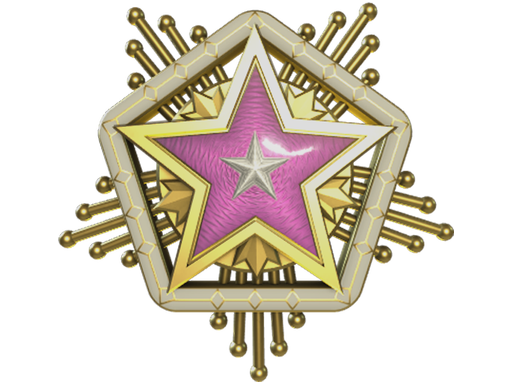 2024 Service Medal Tier 5