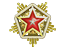 2024 Service Medal Tier 6