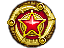 2025 Service Medal Tier 6