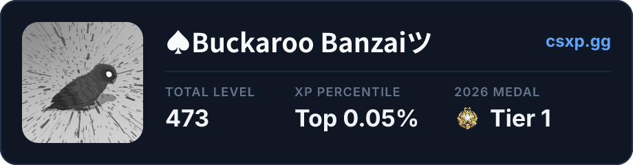 csxp.gg badge for this player